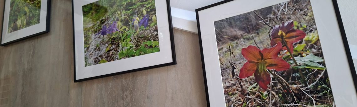 Vabilo na ogled fotografske razstave o Krajinskem parku Kum